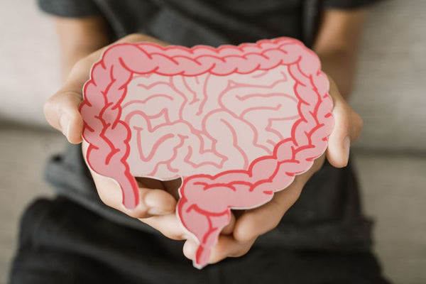 Up to 80% of your immunity is hidden in your gut - look after it