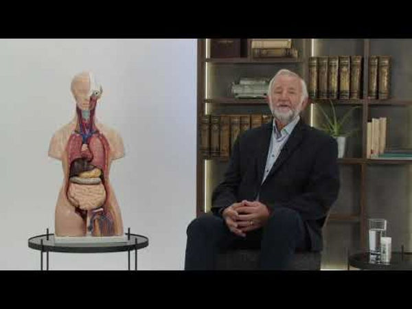 What are probiotics, and what is the difference between ordinary and personalised probiotics?