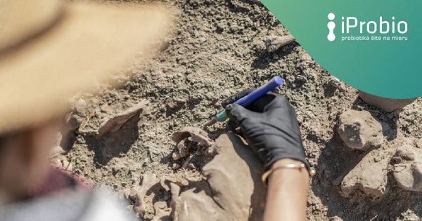 Ancient faeces reveal dramatic changes in the human microbiota over the past 2000 years
