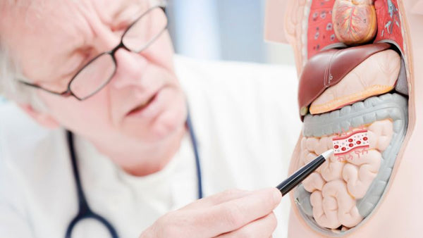 The gut-brain axis